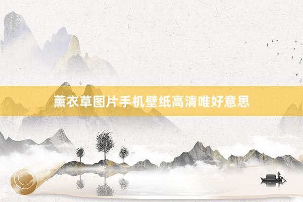 薰衣草图片手机壁纸高清唯好意思