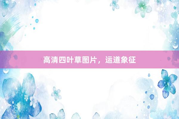 高清四叶草图片，运道象征